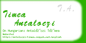 timea antaloczi business card